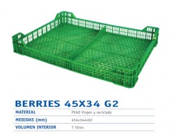 CAJA BERRIES 45X34CM VERDE                        