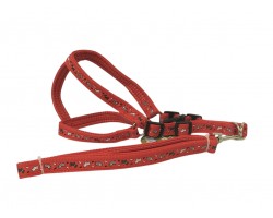 ARNES+ CORREA 2CM P/PERRO CHICO C/DISENO          