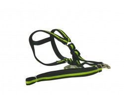 ARNES + CORREA 2CM P/PERRO D/LISO                 