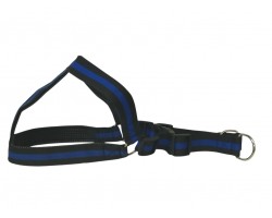 ARNES +CORREO 3,8CM P/PERRO GDE D/LISO            